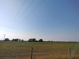 Lovely view