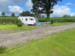 Plenty of room on the pitches. look closely for camper growing sunflowers in tubs