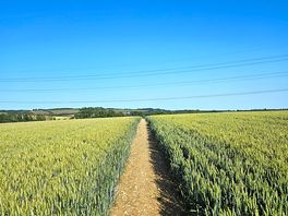 Local walk