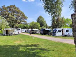 Grass pitches