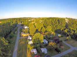 Pitches among the trees