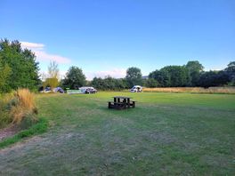 Camp field
