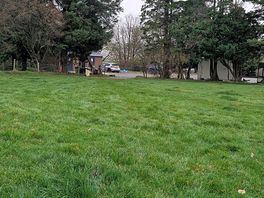 Field