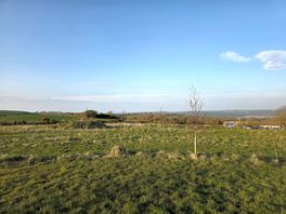 View from site.