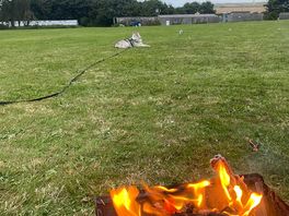 At camp