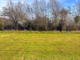 Tent pitches divided by longer uncut grass