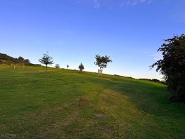 View of field