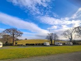 Back field.