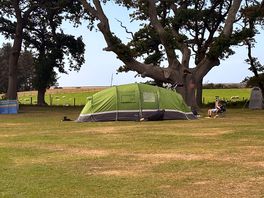 Our pitch