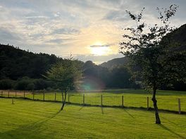 Onsite views