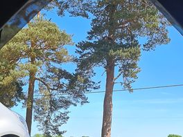 View from my tent