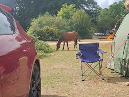 Afternoon view from tent