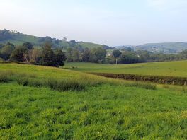 Mjy view