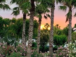 Lovely sunset