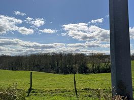 Nice view 1