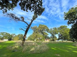 View from the bottom of the wilder pitch site
