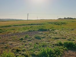 Morning sun!