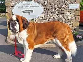 The big lad enjoyed his stay too!