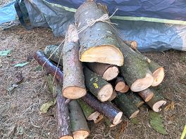 Logs to burn