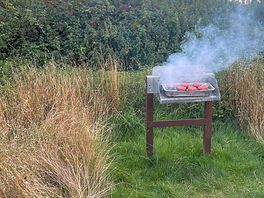 Disposable bbq included