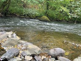 Riverside view