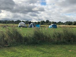 The camping field