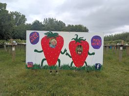 Strawberry picking 1 minute up the road