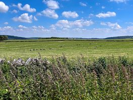 Countryside bliss