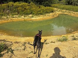 One of the pools