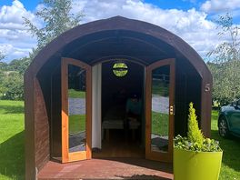 Photo of pod with beautiful sunshine