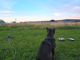 Even cecilia was amazed by the views