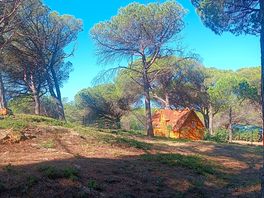 Some really quirky accomodation here too.