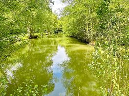 Snake lake