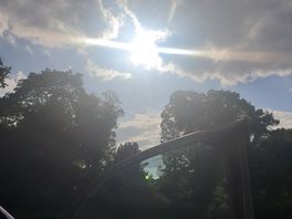 Sunny and stunning.