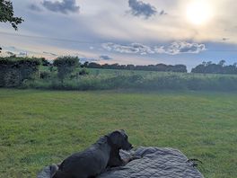 Willow relaxing!