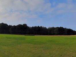 Panoramic view of the back field