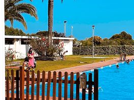 Bar y piscina juntos