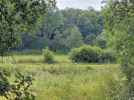 Beautiful surroundings of natural beauty