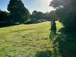 Morning views