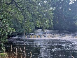 River eden