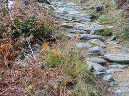 Path up the mountain