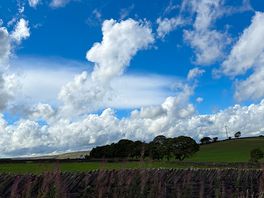 Walkers paradise, whitegate is located just outside a public walkway!