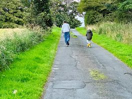 Farm lane