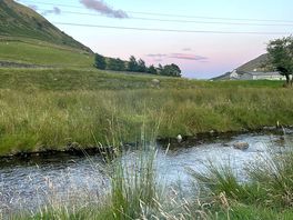 Camping next to the stream