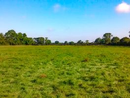 The pitching field
