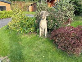 Wonderful gardens at the lodges
