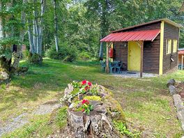 Cabin in the woods