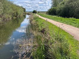 Wicken fen