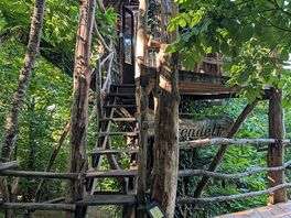 Treehouse
