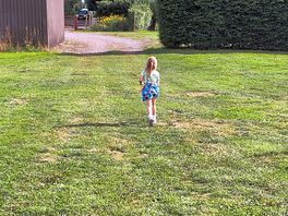 Great field to run around on.